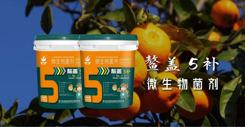 图片[1]-根力多-鳌盖5补【螯合五维营养・生防护根提质】 -吉林根力多科技推广有限公司