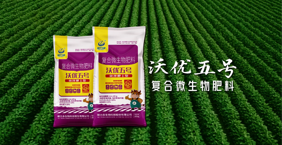 图片[1]-根力多-沃优5号【根系不长、烂根频发？沃优 5 号 "促毛根 + 壮根盘 + 抑病菌" 三效合一】-吉林根力多科技推广有限公司