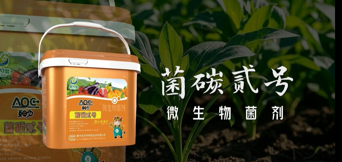 图片[1]-根力多-菌碳贰号【抗逆菌种 × 水溶碳源双效赋能：看菌碳贰号如何破解作物 “碳饥饿” 难题】-吉林根力多科技推广有限公司